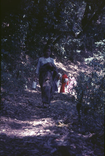 CHebert0184.jpg