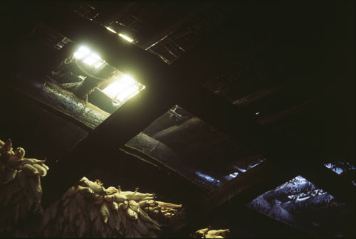 CHebert0213.jpg