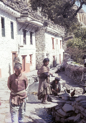 Reel_01_02_03_111.jpg