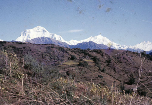 Reel_01_02_03_148.jpg