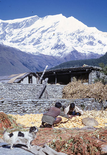 Reel_01_02_03_169.jpg