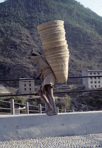 Reel_01_02_03_175.jpg