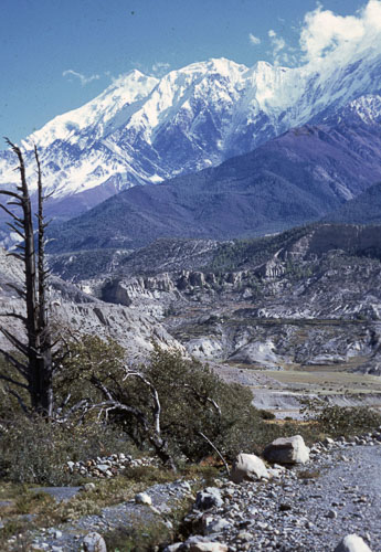 Reel_01_02_03_194.jpg