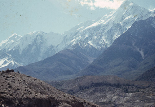 Reel_01_02_03_199.jpg