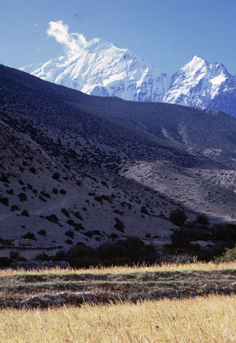 Reel_01_02_03_200.jpg