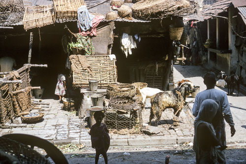 Reel_04_096.jpg
