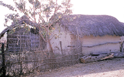 CWalsh0031.jpg