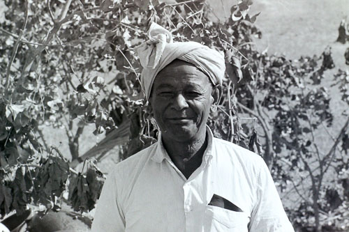 CWalsh0093.jpg