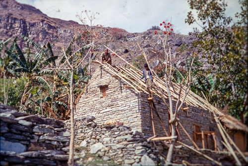 CF_CS00019.jpg CF_CS00019.jpg