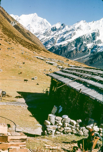 DP_FB0059.jpg