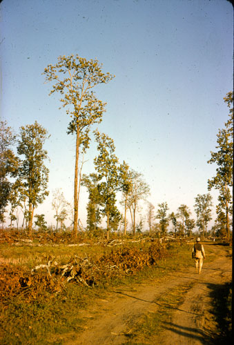 DK_FB00047.jpg