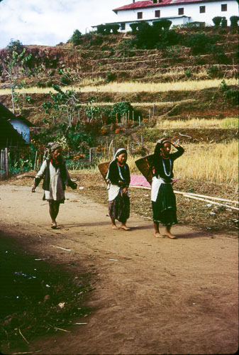 DK_FB00065.jpg