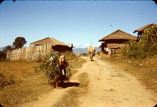 DK_FB00077.jpg