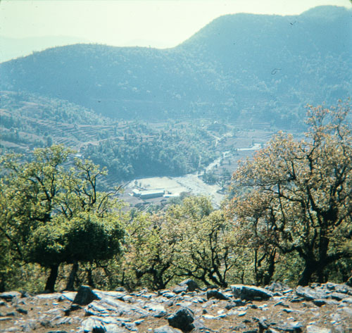 DF_CS0028.jpg