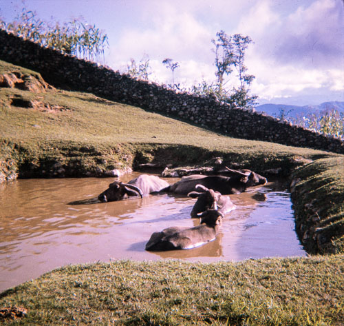 DF_CS0031.jpg