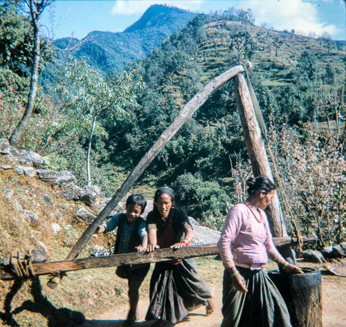 DF_CS0034.jpg