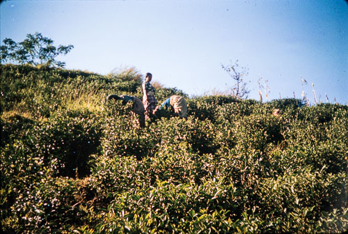 DH_CS00027.jpg DH_CS00027.jpg