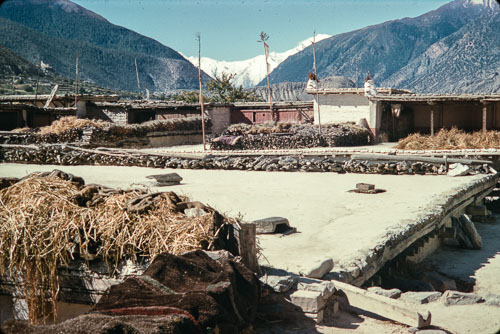 DH_CS00037.jpg DH_CS00037.jpg