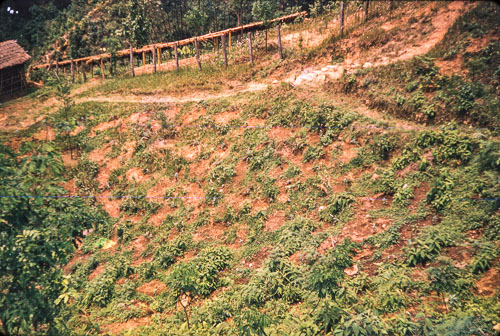 DH_CS00069.jpg DH_CS00069.jpg
