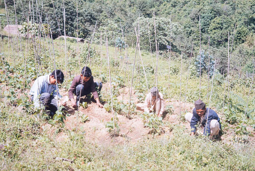 DO_CS0138.jpg DO_CS0138.jpg