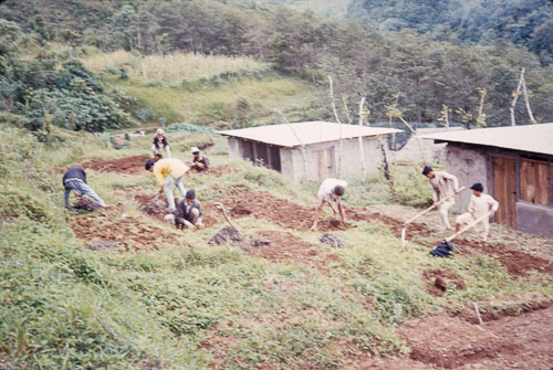 DO_CS0181.jpg DO_CS0181.jpg