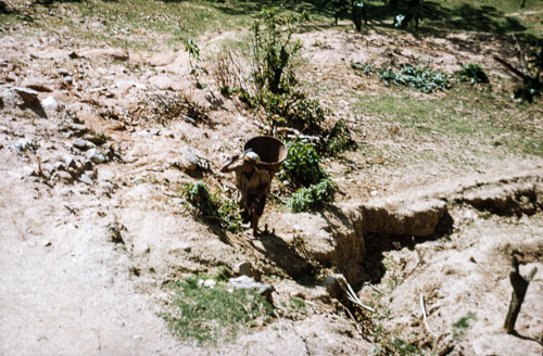 MG_CS000019.jpg