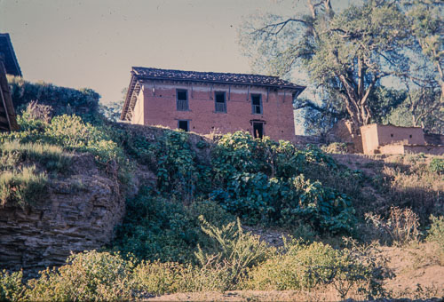 DNH_CS00020.jpg