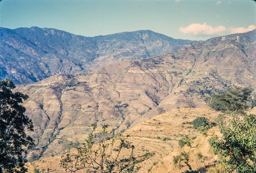 DNH_CS00024.jpg