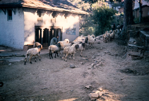 DNH_CS00049.jpg