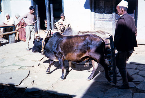 DNH_CS00058.jpg