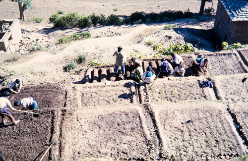 DNH_CS00060.jpg