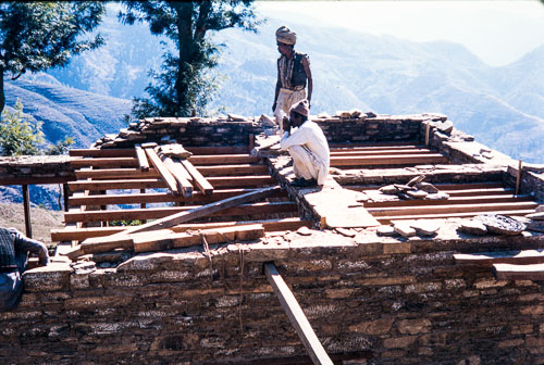 DNH_CS00065.jpg