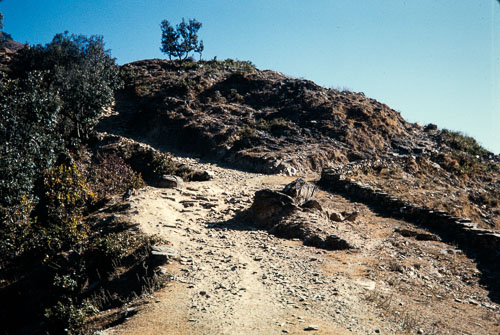 DNH_CS00079.jpg