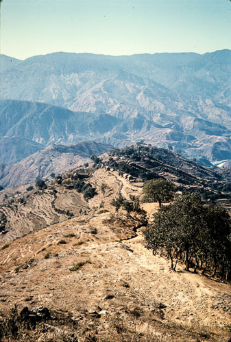 DNH_CS00080.jpg