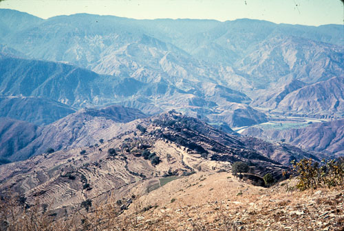 DNH_CS00081.jpg
