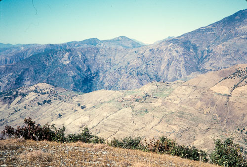 DNH_CS00083.jpg