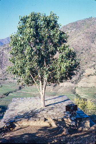 DNH_CS00092.jpg