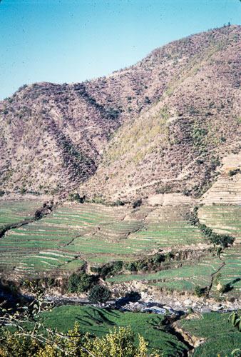 DNH_CS00093.jpg