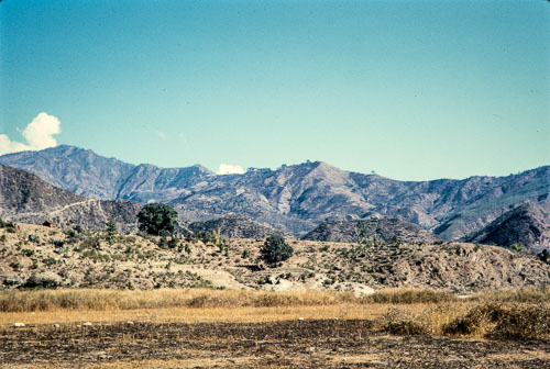 DNH_CS00097.jpg