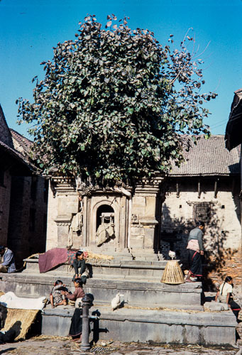 DNH_CS00110.jpg