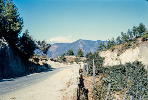 DNH_CS00113.jpg