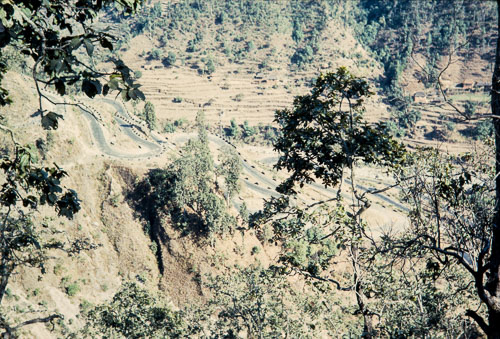 DNH_CS00117.jpg