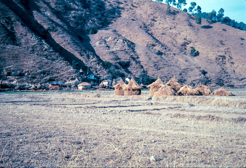 DNH_CS00121.jpg