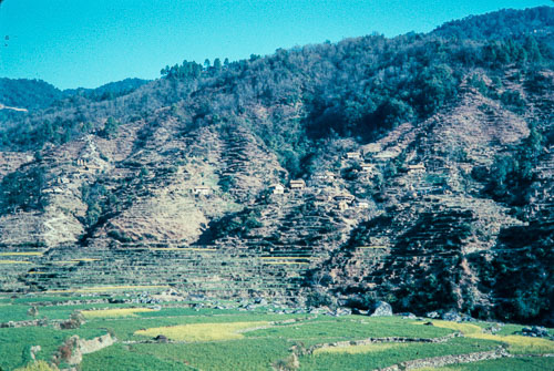 DNH_CS00126.jpg