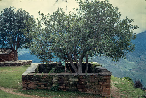 DNH_CS00163.jpg