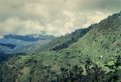 DNH_CS00205.jpg