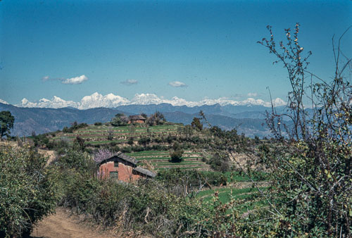 DNH_CS00269.jpg