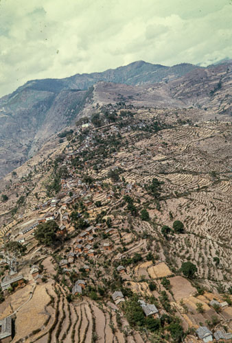 DNH_CS00292.jpg