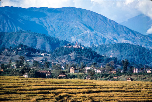 DNH_CS00312.jpg