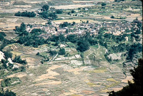 DNH_CS00324.jpg